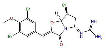 Synoxazolidinone C